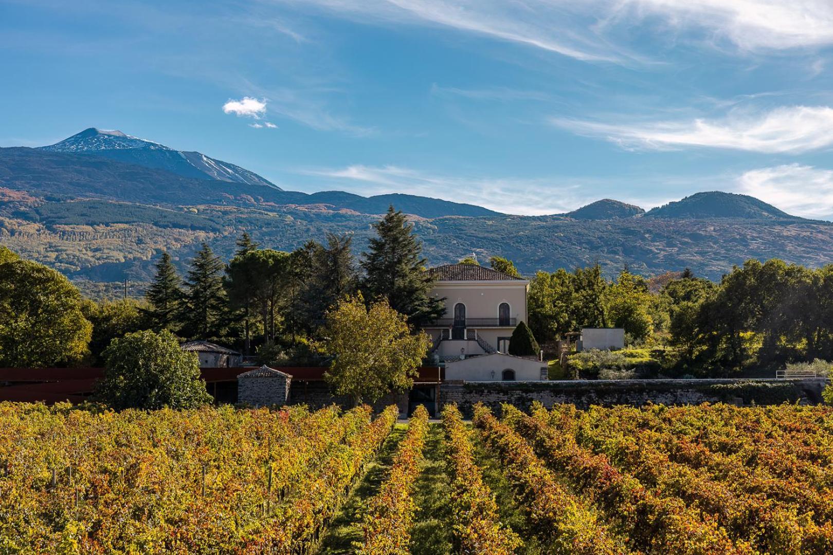 Campore Etna Wines And Resort Randazzo Ngoại thất bức ảnh